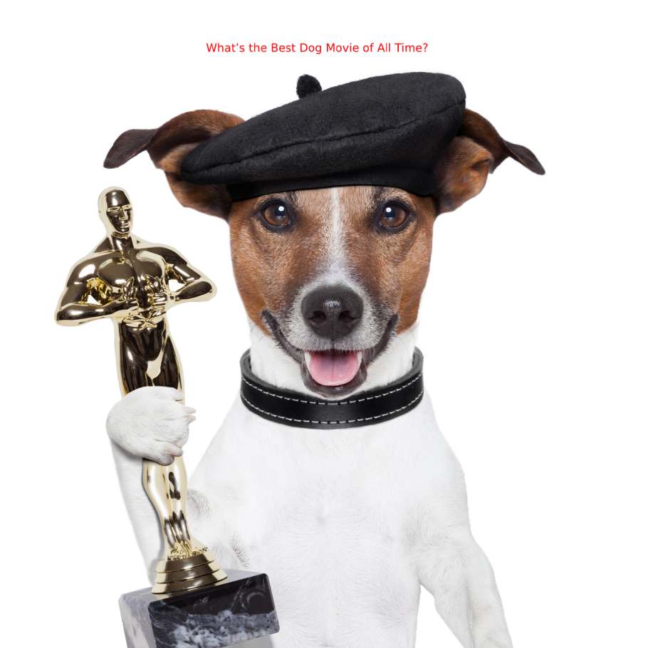 Read more about the article What’s the Best Dog Movie of All Time?